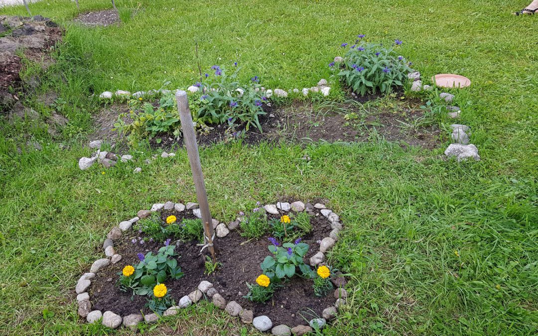 Zweite Aktion im Gemeinschaftsgarten