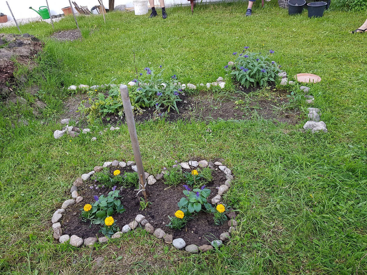 Zweite Aktion im Gemeinschaftsgarten
