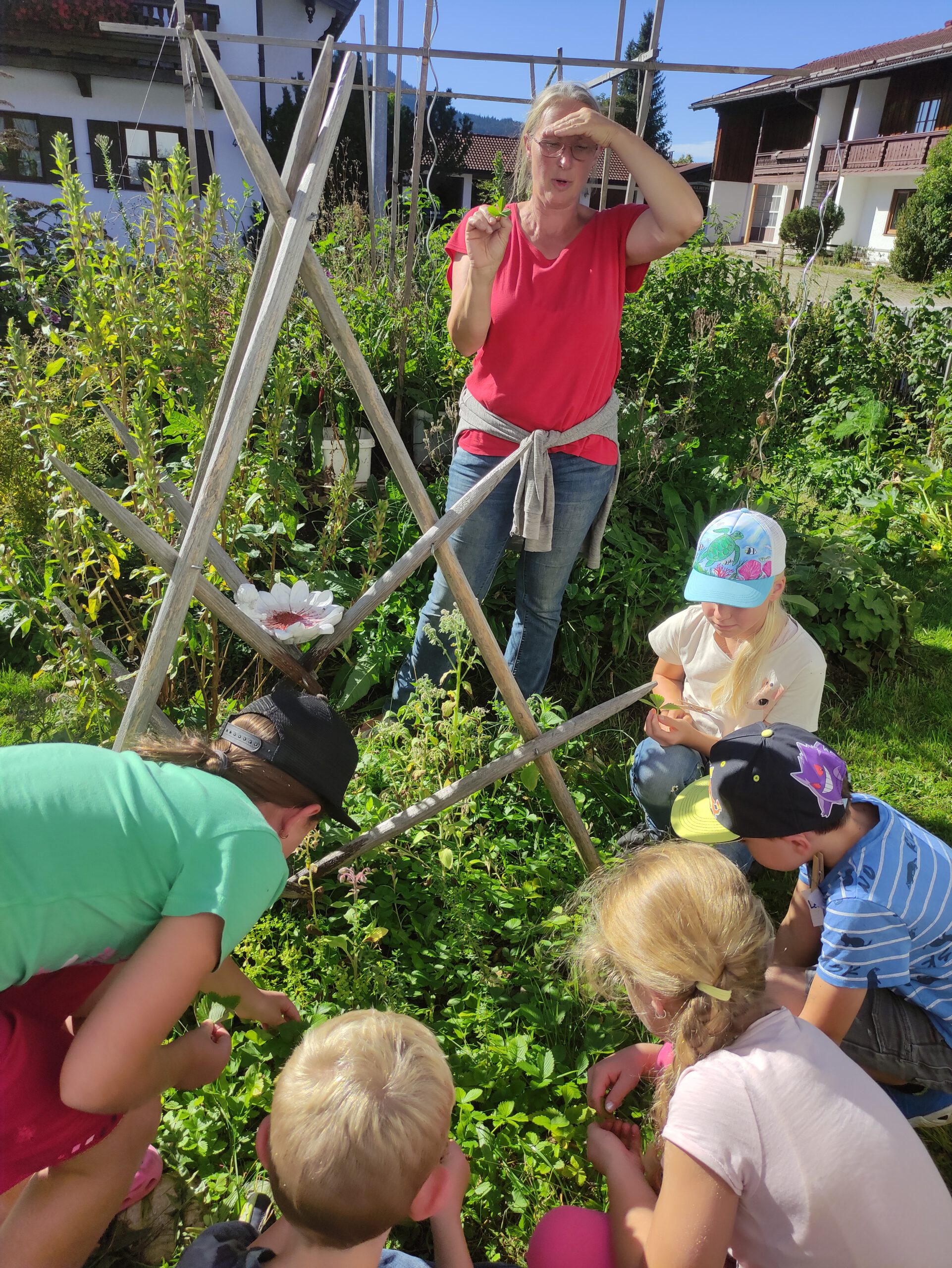 2025 09 beim Sammeln von essbaren Pflanzen und Blüten