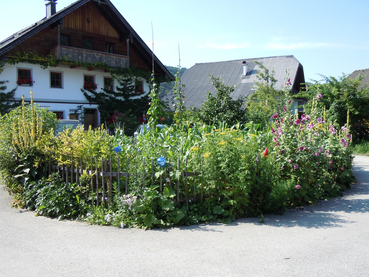 Weiterbildung für die Inzeller Baumwarte am 19. Juli in Faistenau