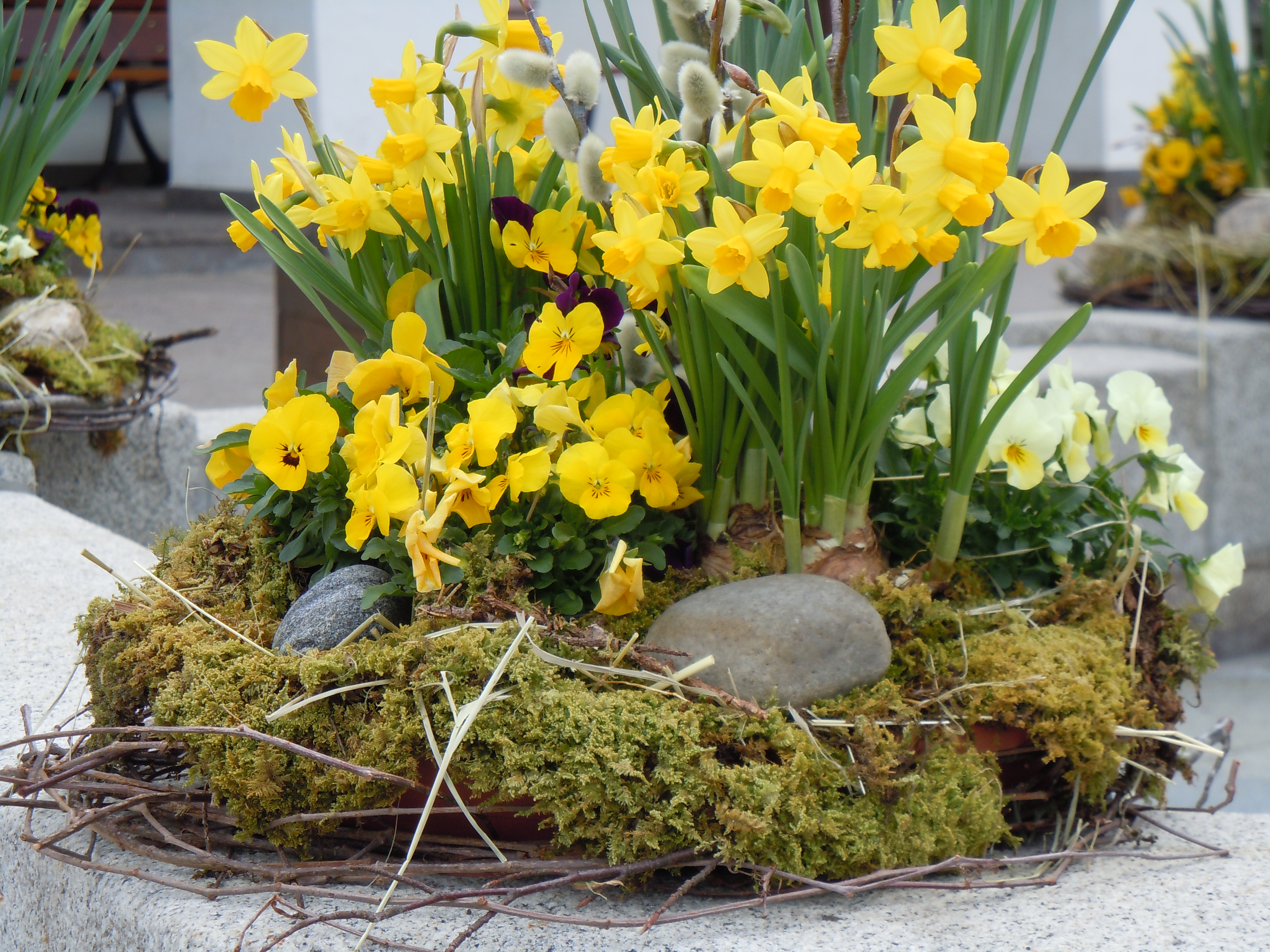 Geschmückter Osterbrunnen – Gartler entwickeln kreative Ideen in der Coronakrise