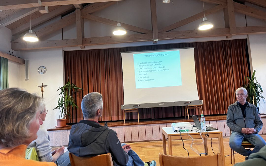 Hühner im Privatgarten – wertvolle Tipps von einem erfahrenen Hühnerhalter