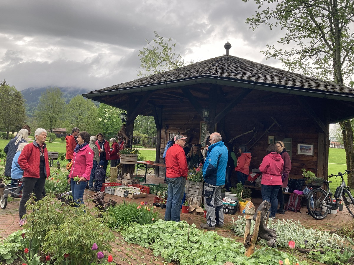 Pflanzenmarkt für wetterfeste Gartler und vielseitig Interessierte