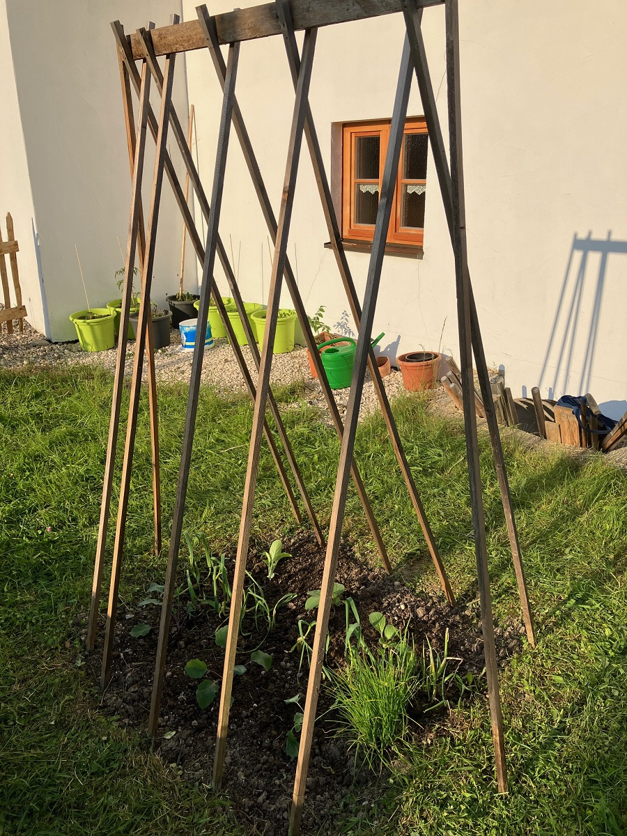 Schön langsam wächst vieles im Gemeinschaftsgarten