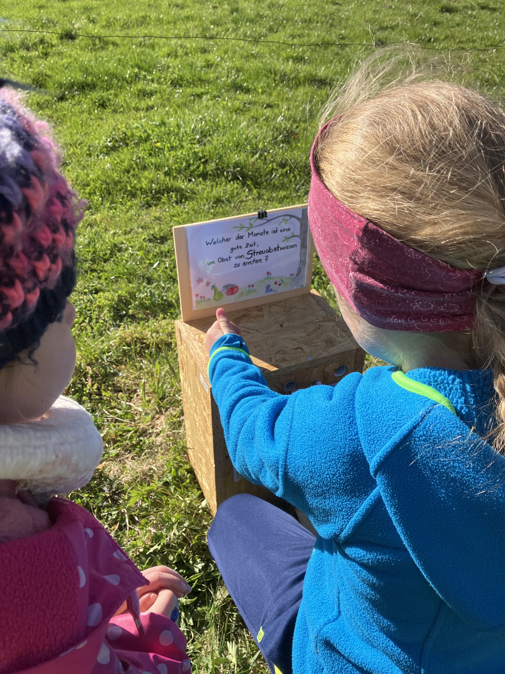 Naturforscher unterwegs: Schnittlauchräuber auf Streuobstwiese