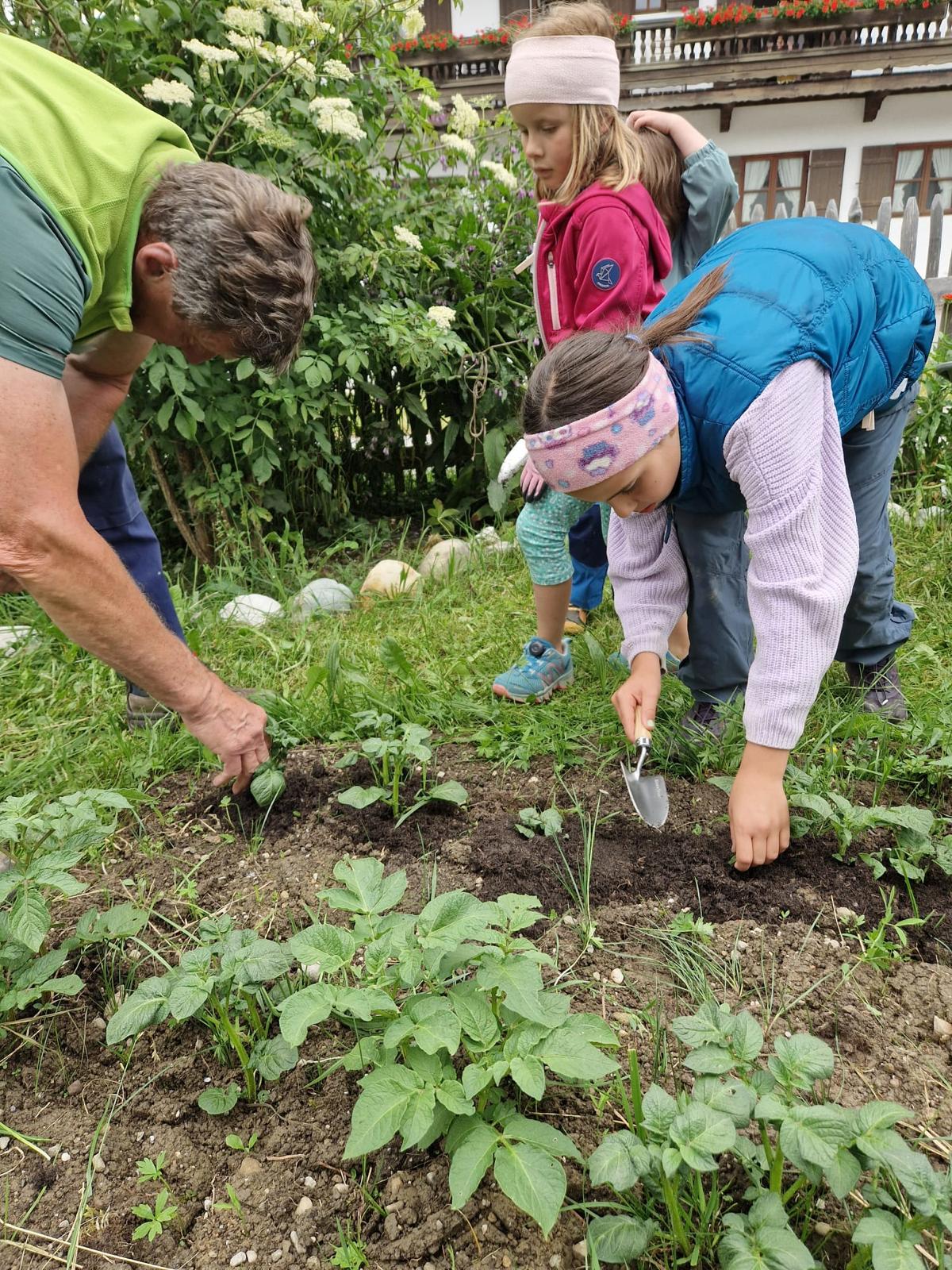 Schnittlauchräuber 26 03 04