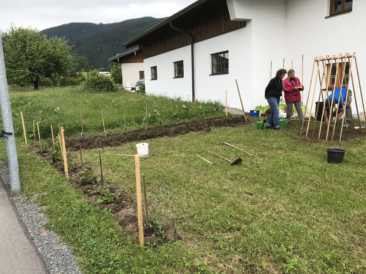 Der nächste Fortschritt beim Gemeinschaftsgarten