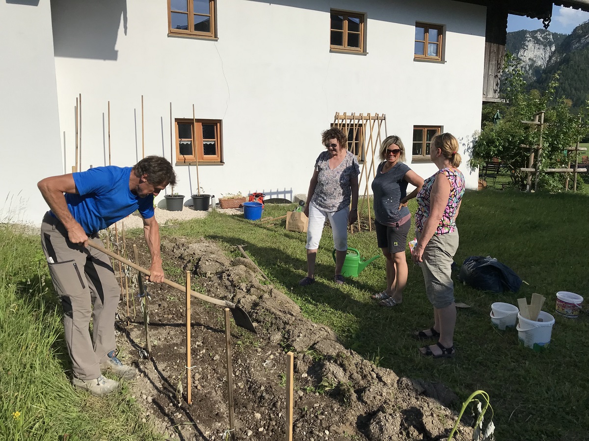 Kartoffeln als Bodenverbesserer für neue Beete im Gemeinschaftsgarten