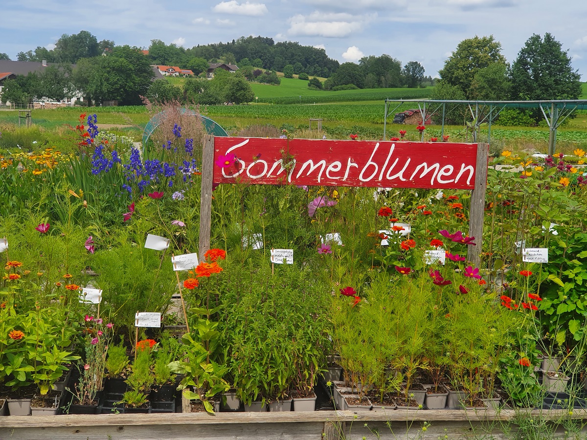 Blumen, Geschichte, Geselligkeit – ein besonderer Ausflug von Fegg-Reisen für die Gartler